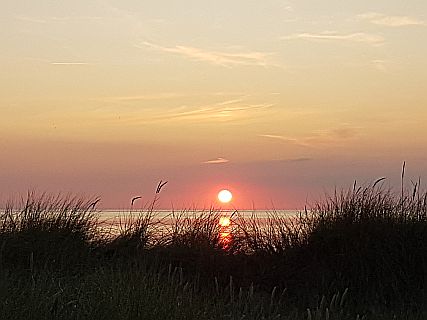 Galeriebild